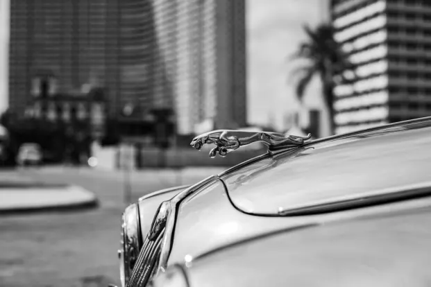 PocketWin Kazino Android/iOS programa