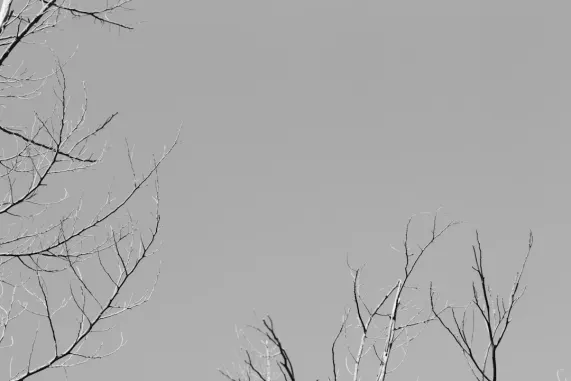 PocketWin Kazino Pagalba